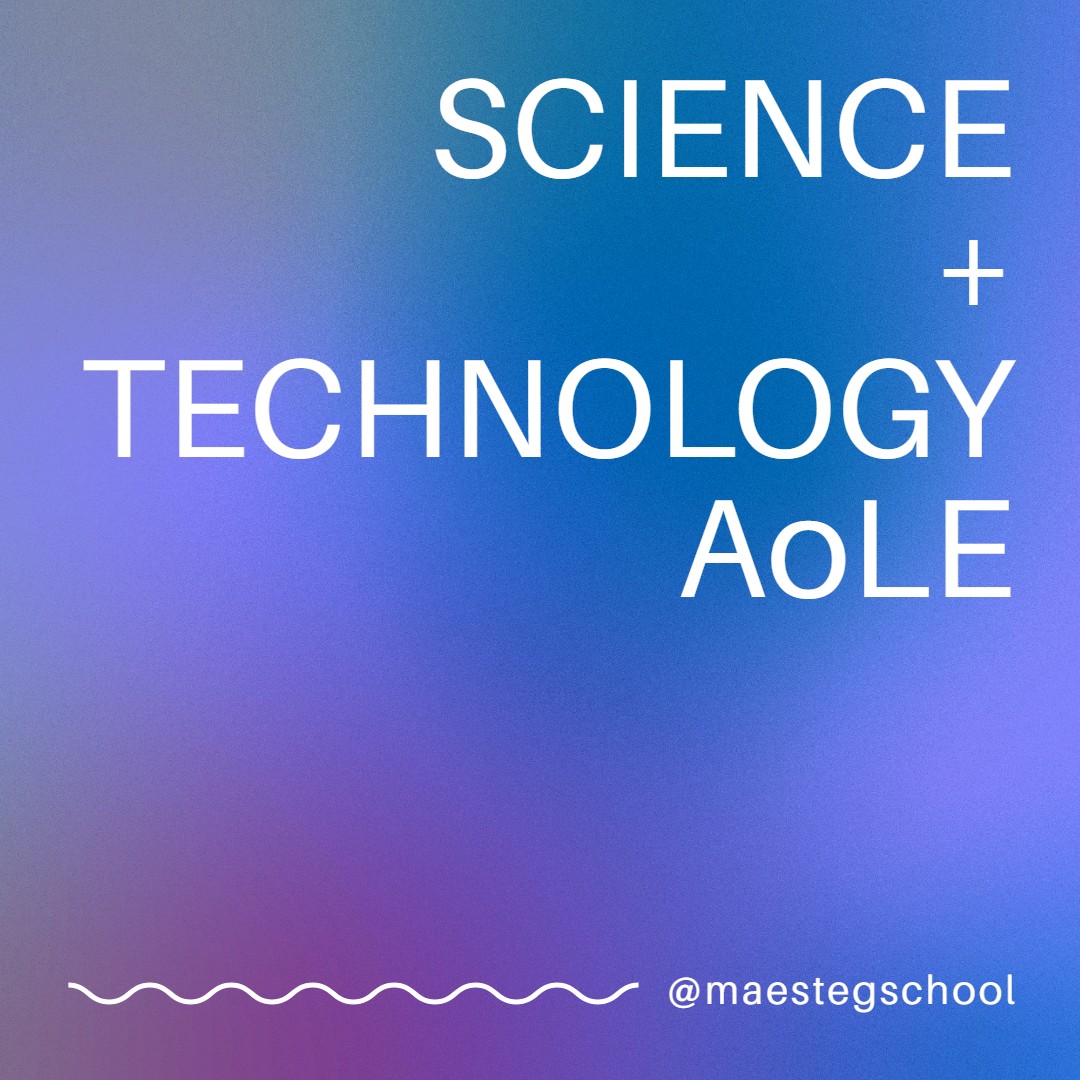 Maesteg School: Our New Curriculum Vision
